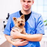 Microchips for animals